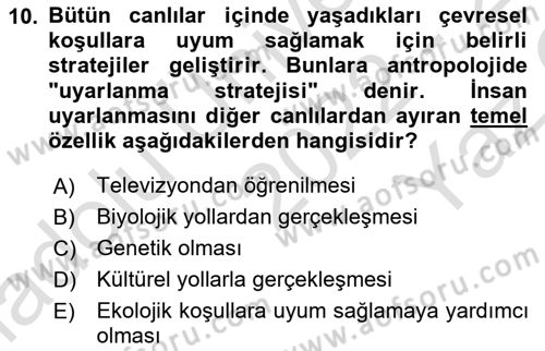 Sosyal Antropoloji Dersi 2022 - 2023 Yılı Yaz Okulu Sınav Soruları 10. Soru