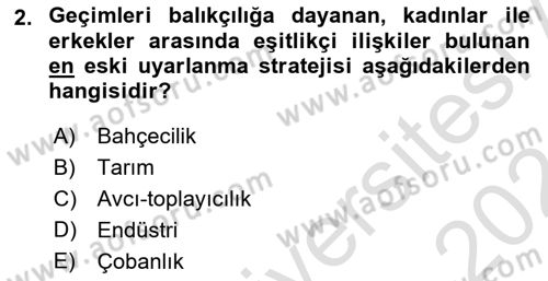 Sosyal Antropoloji Dersi 2023 - 2024 Yılı (Vize) Ara Sınav Soruları 2. Soru