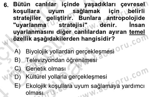 Sosyal Antropoloji Dersi 2023 - 2024 Yılı Yaz Okulu Sınav Soruları 6. Soru