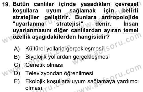 Sosyal Antropoloji Dersi Ara Sınavı Deneme Sınav Soruları 19. Soru