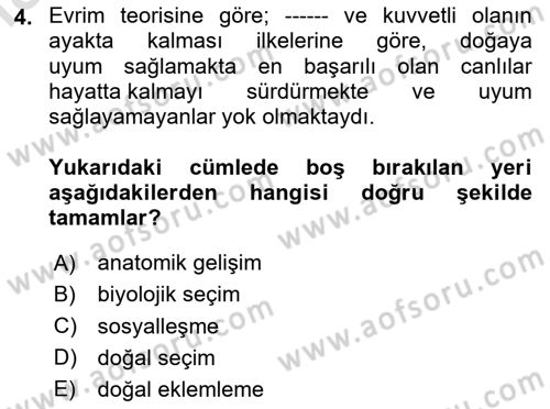 Sosyal Antropoloji Dersi Ara Sınavı Deneme Sınav Soruları 4. Soru