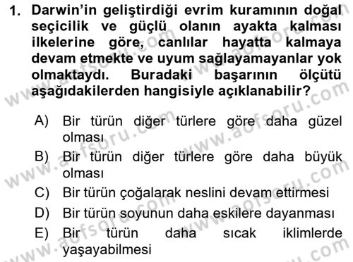 Sosyal Antropoloji Dersi 2024 - 2025 Yılı (Final) Dönem Sonu Sınav Soruları 1. Soru