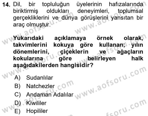 Sosyal Antropoloji Dersi 2024 - 2025 Yılı (Final) Dönem Sonu Sınav Soruları 14. Soru