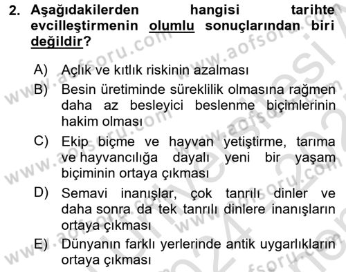 Sosyal Antropoloji Dersi 2024 - 2025 Yılı (Final) Dönem Sonu Sınav Soruları 2. Soru