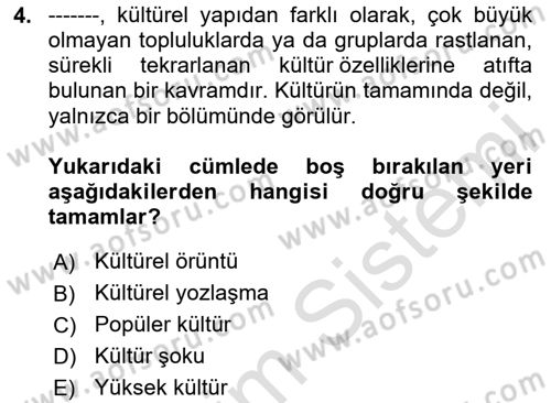 Sosyal Antropoloji Dersi 2024 - 2025 Yılı Yaz Okulu Sınav Soruları 4. Soru