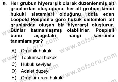 Sosyal Antropoloji Dersi 2024 - 2025 Yılı Yaz Okulu Sınav Soruları 9. Soru