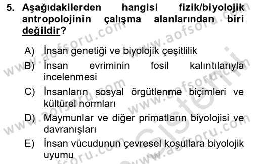 Sosyal Antropoloji Dersi 2025 - 2026 Yılı (Vize) Ara Sınav Soruları 5. Soru