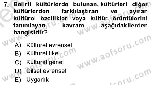 Sosyal Antropoloji Dersi 2025 - 2026 Yılı (Vize) Ara Sınav Soruları 7. Soru