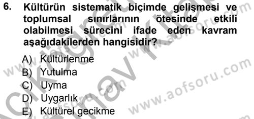 Davranış Bilimlerine Giriş Dersi 2012 - 2013 Yılı (Vize) Ara Sınav Soruları 6. Soru
