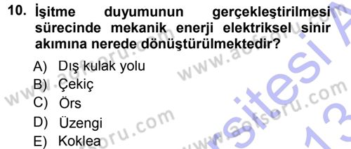Davranış Bilimlerine Giriş Dersi 2012 - 2013 Yılı (Final) Dönem Sonu Sınav Soruları 10. Soru