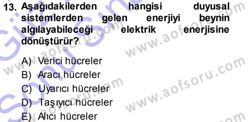 Davranış Bilimlerine Giriş Dersi 2013 - 2014 Yılı (Final) Dönem Sonu Sınav Soruları 13. Soru