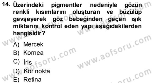 Davranış Bilimlerine Giriş Dersi 2013 - 2014 Yılı (Final) Dönem Sonu Sınav Soruları 14. Soru