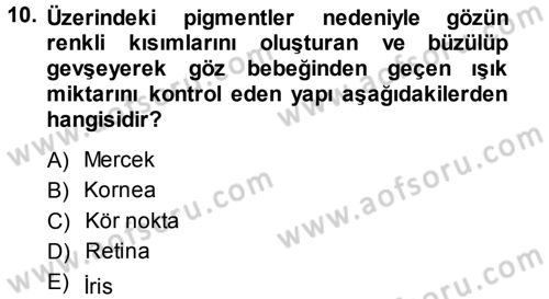 Davranış Bilimlerine Giriş Dersi 2014 - 2015 Yılı (Final) Dönem Sonu Sınav Soruları 10. Soru