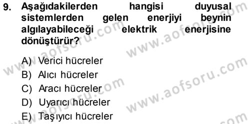 Davranış Bilimlerine Giriş Dersi 2014 - 2015 Yılı (Final) Dönem Sonu Sınav Soruları 9. Soru