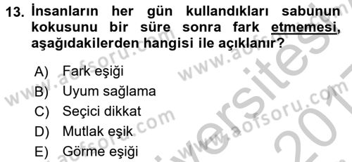 Davranış Bilimlerine Giriş Dersi 2016 - 2017 Yılı 3 Ders Sınav Soruları 13. Soru