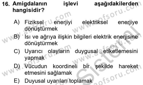 Davranış Bilimlerine Giriş Dersi 2016 - 2017 Yılı 3 Ders Sınav Soruları 16. Soru
