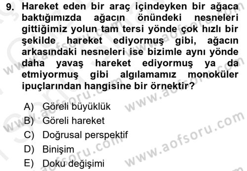 Davranış Bilimlerine Giriş Dersi 2016 - 2017 Yılı (Final) Dönem Sonu Sınav Soruları 9. Soru