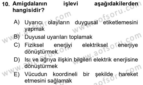 Davranış Bilimlerine Giriş Dersi 2017 - 2018 Yılı 3 Ders Sınav Soruları 10. Soru