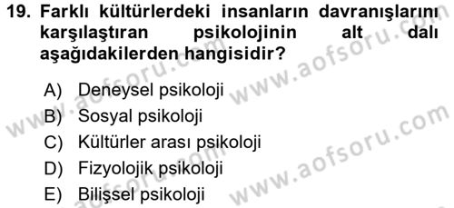 Davranış Bilimlerine Giriş Dersi 2017 - 2018 Yılı 3 Ders Sınav Soruları 19. Soru