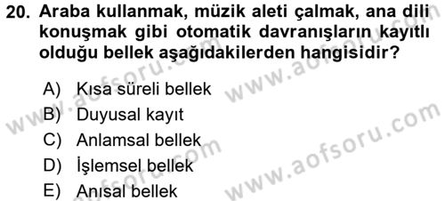Davranış Bilimlerine Giriş Dersi 2017 - 2018 Yılı 3 Ders Sınav Soruları 20. Soru