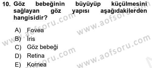 Davranış Bilimlerine Giriş Dersi 2017 - 2018 Yılı (Final) Dönem Sonu Sınav Soruları 10. Soru