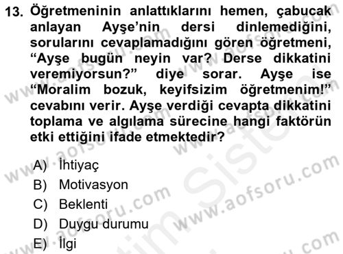 Davranış Bilimlerine Giriş Dersi 2017 - 2018 Yılı (Final) Dönem Sonu Sınav Soruları 13. Soru