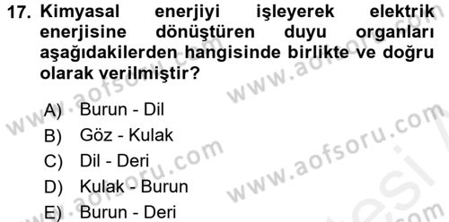 Davranış Bilimlerine Giriş Dersi 2017 - 2018 Yılı (Final) Dönem Sonu Sınav Soruları 17. Soru