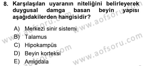 Davranış Bilimlerine Giriş Dersi 2017 - 2018 Yılı (Final) Dönem Sonu Sınav Soruları 8. Soru