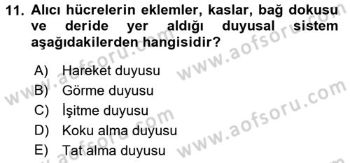 Davranış Bilimlerine Giriş Dersi 2018 - 2019 Yılı 3 Ders Sınav Soruları 11. Soru