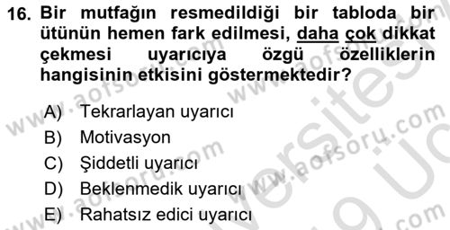 Davranış Bilimlerine Giriş Dersi 2018 - 2019 Yılı 3 Ders Sınavı 16. Soru