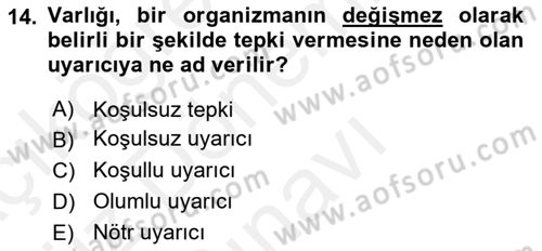 Davranış Bilimlerine Giriş Dersi 2018 - 2019 Yılı (Final) Dönem Sonu Sınav Soruları 14. Soru
