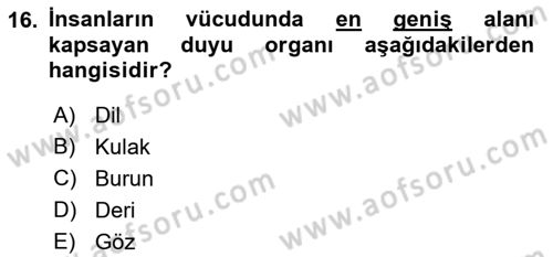 Davranış Bilimlerine Giriş Dersi 2018 - 2019 Yılı (Final) Dönem Sonu Sınav Soruları 16. Soru
