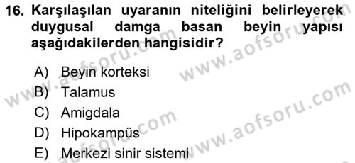 Davranış Bilimlerine Giriş Dersi 2018 - 2019 Yılı Yaz Okulu Sınav Soruları 16. Soru