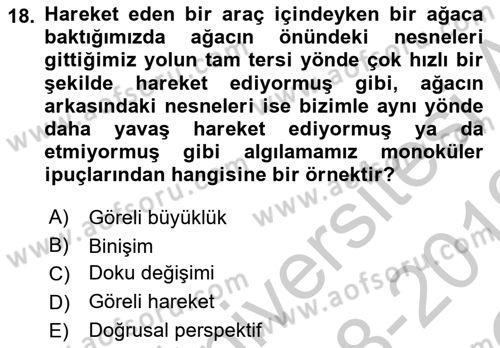 Davranış Bilimlerine Giriş Dersi 2018 - 2019 Yılı Yaz Okulu Sınav Soruları 18. Soru