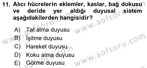 Davranış Bilimlerine Giriş Dersi 2019 - 2020 Yılı (Final) Dönem Sonu Sınav Soruları 11. Soru