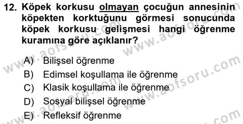 Davranış Bilimlerine Giriş Dersi 2019 - 2020 Yılı (Final) Dönem Sonu Sınav Soruları 12. Soru