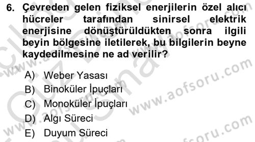 Davranış Bilimlerine Giriş Dersi 2021 - 2022 Yılı (Final) Dönem Sonu Sınav Soruları 6. Soru
