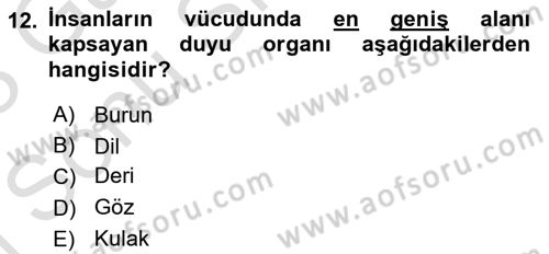 Davranış Bilimlerine Giriş Dersi 2022 - 2023 Yılı (Final) Dönem Sonu Sınav Soruları 12. Soru