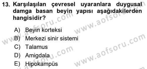 Davranış Bilimlerine Giriş Dersi 2022 - 2023 Yılı (Final) Dönem Sonu Sınav Soruları 13. Soru