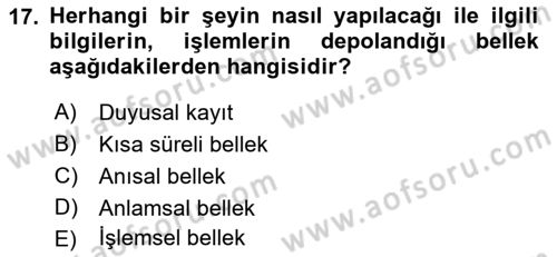Davranış Bilimlerine Giriş Dersi 2022 - 2023 Yılı (Final) Dönem Sonu Sınav Soruları 17. Soru