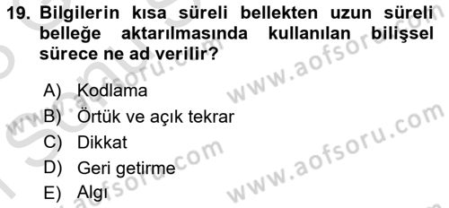 Davranış Bilimlerine Giriş Dersi 2022 - 2023 Yılı (Final) Dönem Sonu Sınav Soruları 19. Soru