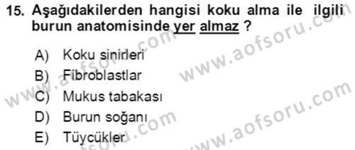 Davranış Bilimlerine Giriş Dersi 2022 - 2023 Yılı Yaz Okulu Sınav Soruları 15. Soru
