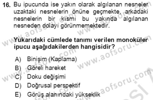 Davranış Bilimlerine Giriş Dersi 2022 - 2023 Yılı Yaz Okulu Sınav Soruları 16. Soru