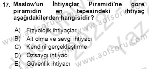 Davranış Bilimlerine Giriş Dersi 2022 - 2023 Yılı Yaz Okulu Sınav Soruları 17. Soru