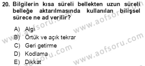 Davranış Bilimlerine Giriş Dersi 2022 - 2023 Yılı Yaz Okulu Sınav Soruları 20. Soru
