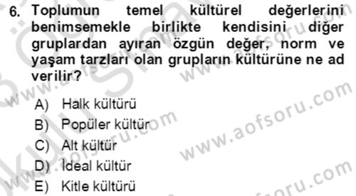 Davranış Bilimlerine Giriş Dersi 2022 - 2023 Yılı Yaz Okulu Sınav Soruları 6. Soru