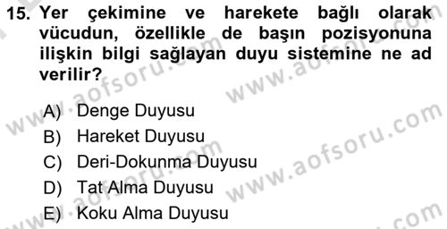Davranış Bilimlerine Giriş Dersi 2023 - 2024 Yılı (Final) Dönem Sonu Sınav Soruları 15. Soru