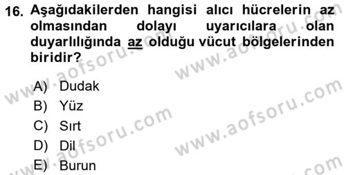Davranış Bilimlerine Giriş Dersi 2023 - 2024 Yılı (Final) Dönem Sonu Sınav Soruları 16. Soru