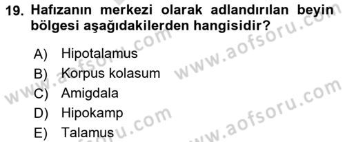 Davranış Bilimlerine Giriş Dersi 2023 - 2024 Yılı (Final) Dönem Sonu Sınav Soruları 19. Soru