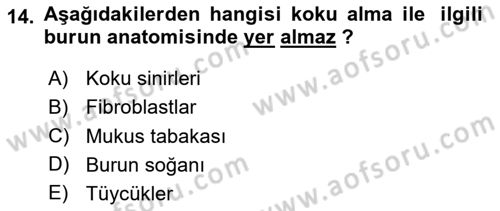 Davranış Bilimlerine Giriş Dersi 2023 - 2024 Yılı Yaz Okulu Sınav Soruları 14. Soru